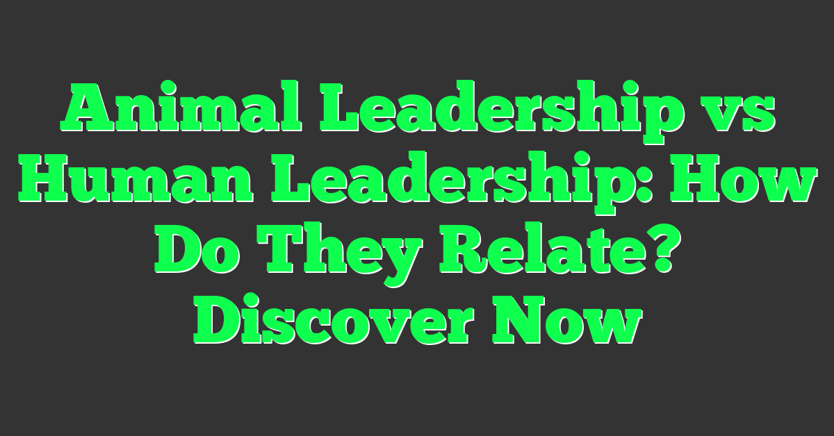 Animal Leadership vs Human Leadership: How Do They Relate? Discover Now