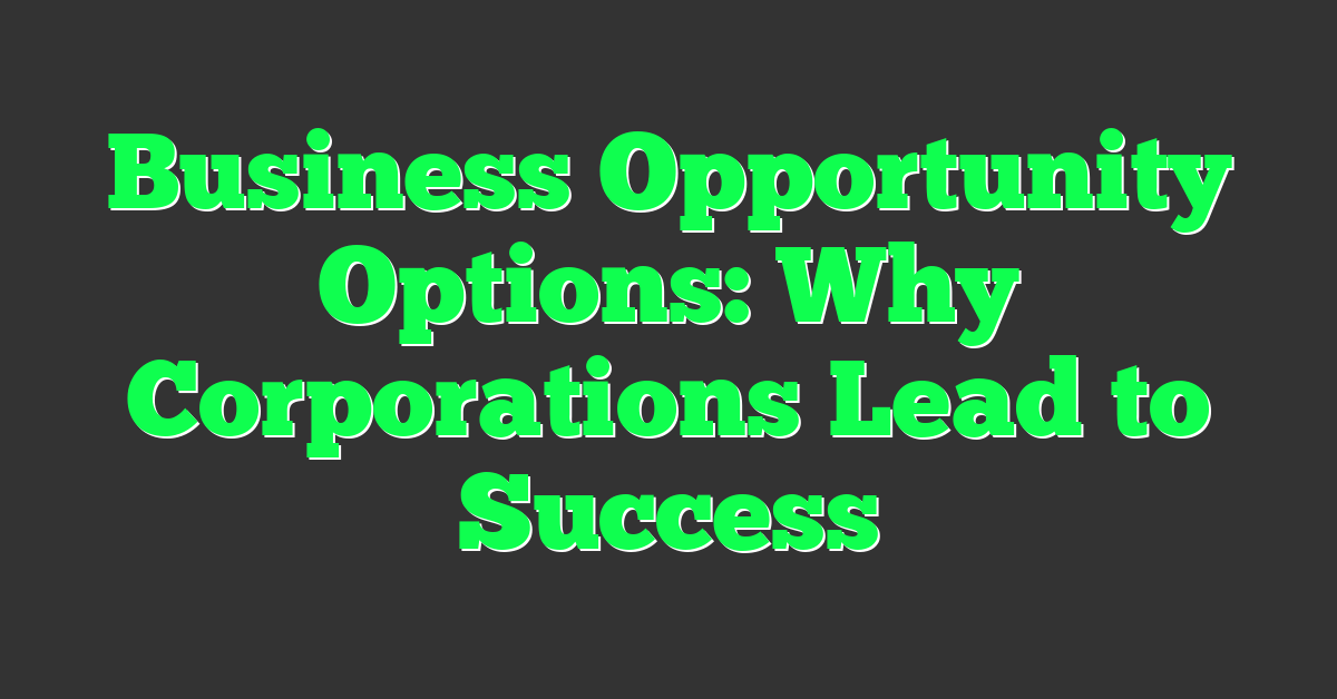 Business Opportunity Options: Why Corporations Lead to Success
