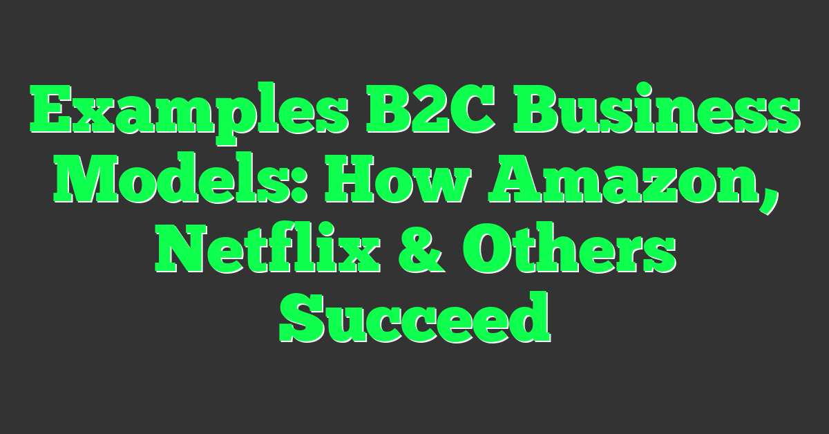 Examples B2C Business Models: How Amazon, Netflix & Others Succeed