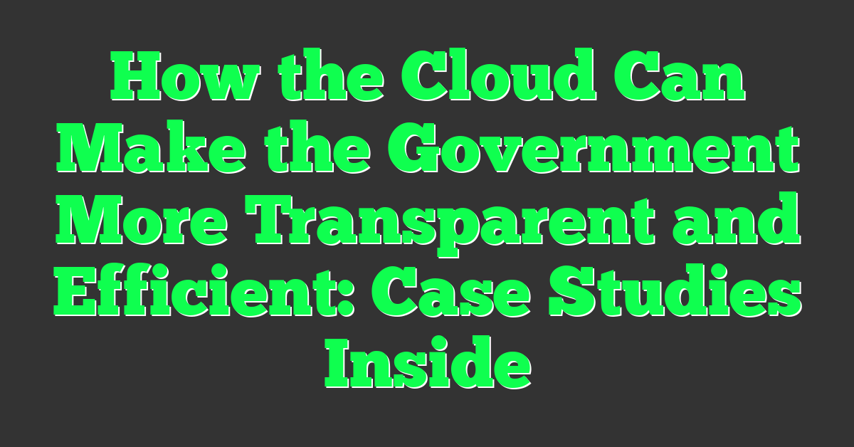 How the Cloud Can Make the Government More Transparent and Efficient: Case Studies Inside