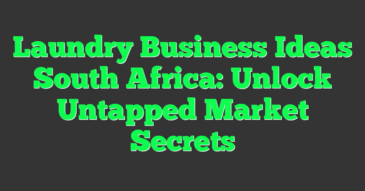 Laundry Business Ideas South Africa: Unlock Untapped Market Secrets