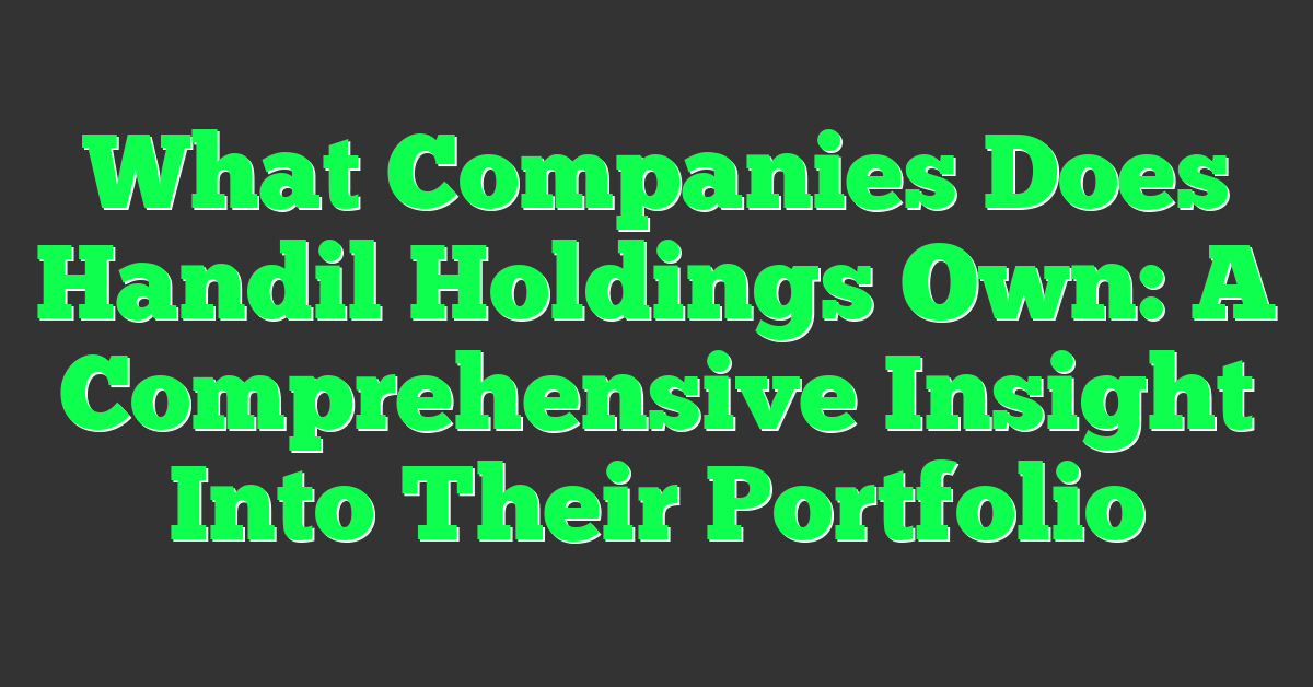 What Companies Does Handil Holdings Own: A Comprehensive Insight Into Their Portfolio