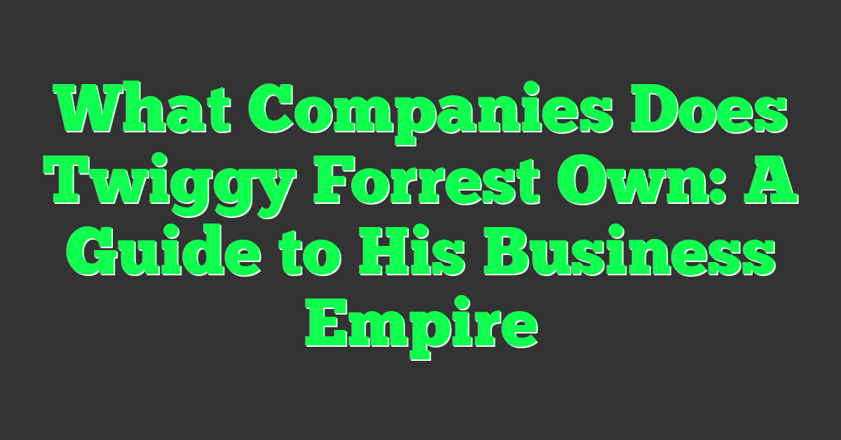 What Companies Does Twiggy Forrest Own: A Guide to His Business Empire